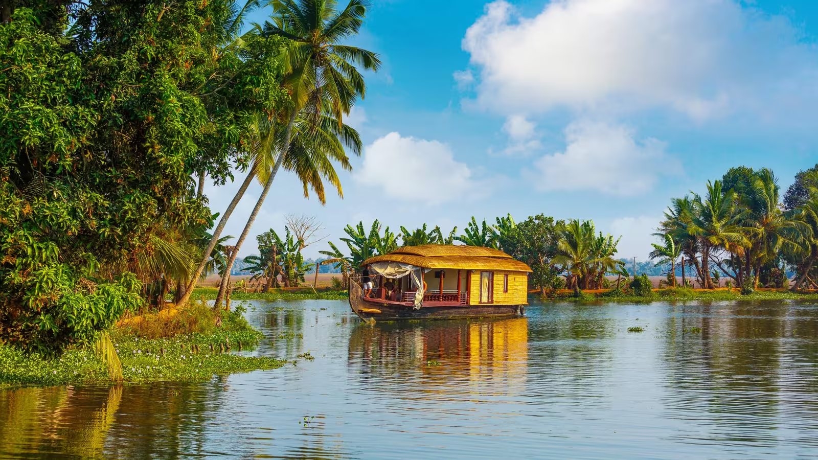 Back Water & Beach Tour Package